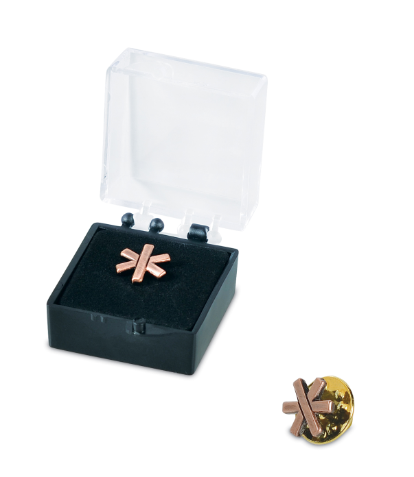 Treno Gottardo Stern Ansteck-Pin 